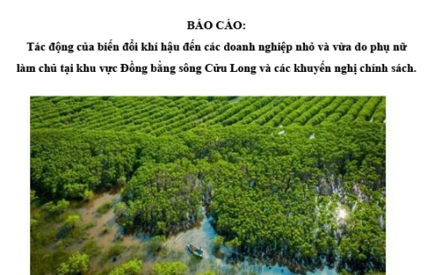Rào cản và thách thức đối với nữ doanh nhân (các DNNVV do phụ nữ làm chủ) tại Đồng bằng sông Cửu Long dưới tác động của các vấn đề giới và biến đổi khí hậu (Dự án UN-ESCAP)